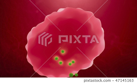 Virus Attack On A Lymphocyte ( White Blood Cell ) 47145163