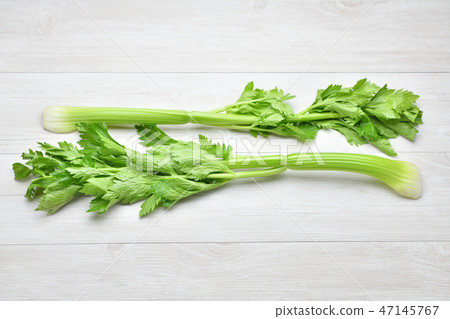 Attention) Retouch mark which erased the pain remains at the root of celery. Image of celery of vegetable ingredients. Attention) Retouch mark which erased the pain remains at the root of celery. Image of celery of vegetable ingredients. 47145767