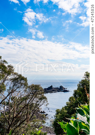 [神奈川縣]三石 47145816