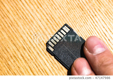SD card SD card 47147986