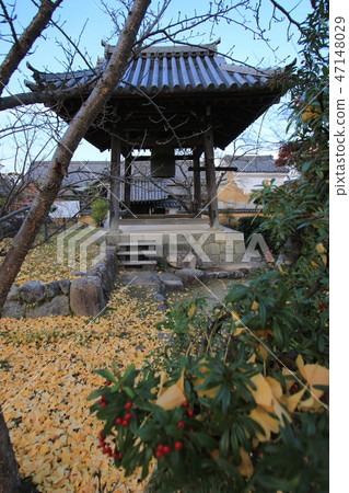 Tachibanaji Tachibanaji 47148029