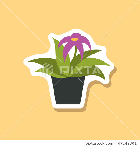 paper sticker on stylish background Gerbera in a pot paper sticker on stylish background Gerbera in a pot 47148301