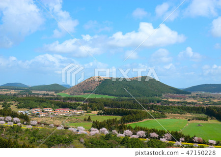 Rural, view, Rural, view, 47150228