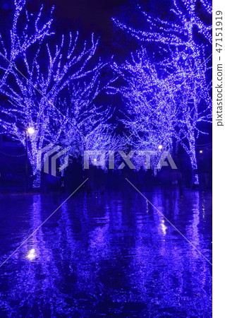 在藍洞裡SHIBUYA 47151919