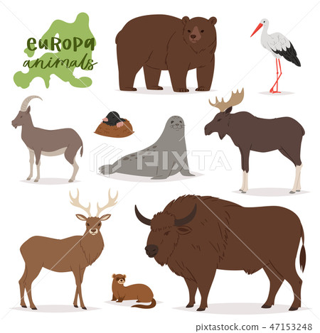 Animal vector animalistic character in forest bear deer elk of Europe wildlife illustration set of Animal vector animalistic character in forest bear deer elk of Europe wildlife illustration set of 47153248