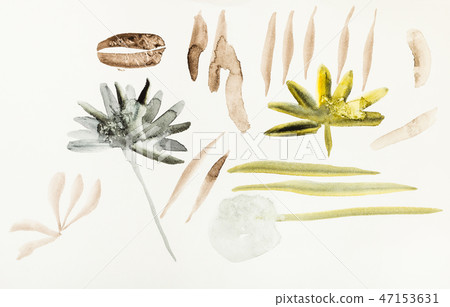 sketches of grasses are hand drawn on paper sketches of grasses are hand drawn on paper 47153631