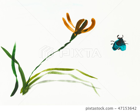 bug and iris flower are hand drawn on creamy paper bug and iris flower are hand drawn on creamy paper 47153642
