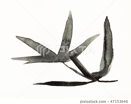 bamboo twig is hand drawn on creamy paper 47153648