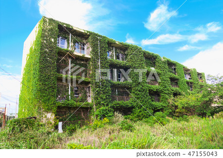 Ikeshima Abandoned Housing Complex Ikeshima Abandoned Housing Complex 47155043
