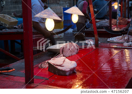 Early morning fish market in Negombo, Sri Lanka 47156207