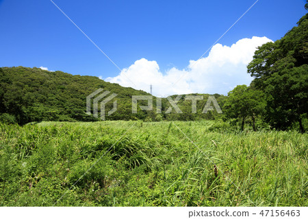 Koajiro no Mori 47156463