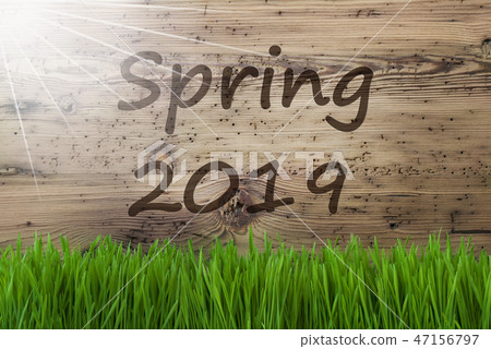 Sunny Wooden Background, Grass, Text Spring 2019 47156797