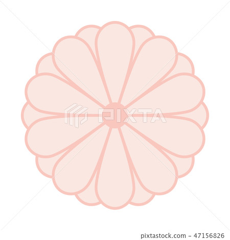 Japanese Kiku Chrysanthemum flower vector symbol. Vector Japanese Kiku Chrysanthemum flower vector symbol. Vector 47156826