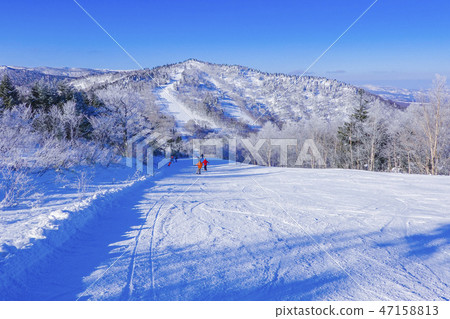 阿皮滑雪場1 47158813