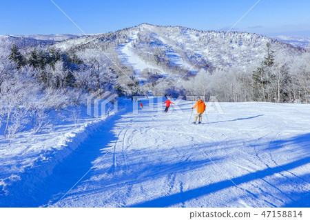 阿皮滑雪場2 47158814