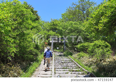 在Harunazan索道峰站的Fujisan寺廟Torii在春天 在Harunazan索道峰站的Fujisan寺廟Torii在春天 47159147