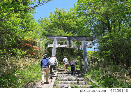 在Harunazan索道峰站的Fujisan寺廟Torii在春天 在Harunazan索道峰站的Fujisan寺廟Torii在春天 47159148