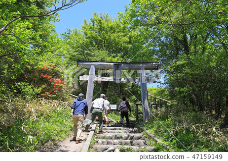 在Harunazan索道峰站的Fujisan寺廟Torii在春天 在Harunazan索道峰站的Fujisan寺廟Torii在春天 47159149