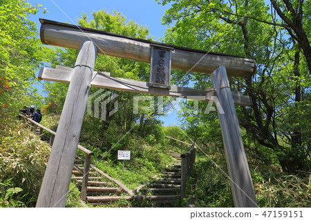 在Harunazan索道峰站的Fujisan寺廟Torii在春天 47159151