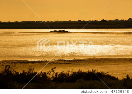 Sunset Sunset 47159548