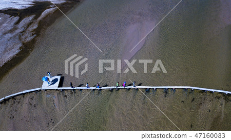 Bamboo bridge 47160083