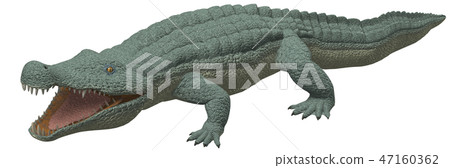 迪諾斯箱 迪諾斯箱 47160362