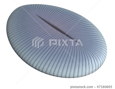 狄更遜水母 47160605