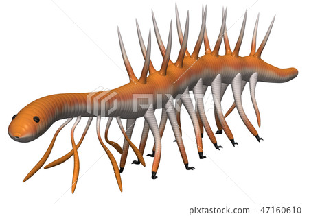 怪誕蟲 怪誕蟲 47160610
