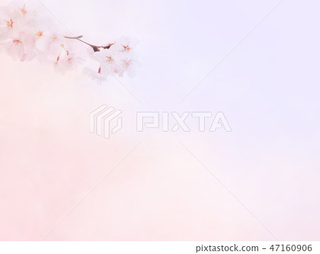 Japanese-Japanese style-Japanese pattern-background-Japanese paper-spring-cherry blossom-pink-gradation Japanese-Japanese style-Japanese pattern-background-Japanese paper-spring-cherry blossom-pink-gradation 47160906
