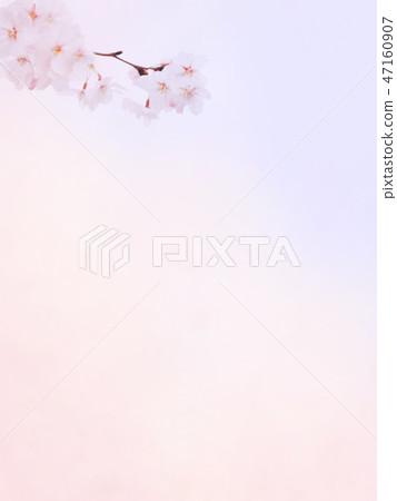 Japanese-Japanese style-Japanese pattern-background-Japanese paper-spring-cherry blossom-pink-gradation Japanese-Japanese style-Japanese pattern-background-Japanese paper-spring-cherry blossom-pink-gradation 47160907