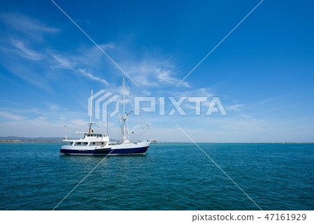 47161929