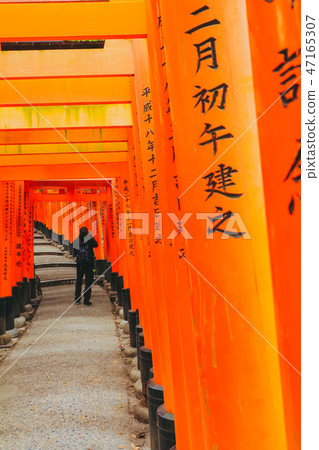 Red torii gates in Fushimi Inari shrine 47165307