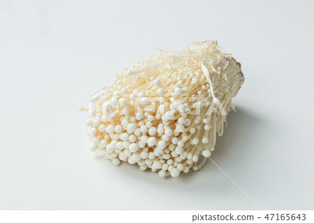 Enoki蘑菇唯一物質在白色背景的 47165643