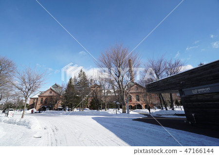 札幌啤酒花園景觀(花園咖啡廳和填海博物館) 札幌啤酒花園景觀(花園咖啡廳和填海博物館) 47166144