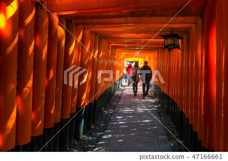 Fushimi Inari shrine Torii Torii Fushimi Inari shrine Torii Torii 47166661