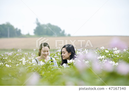 婦女北海道花園 47167340