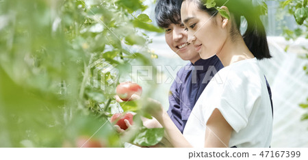 男人和女人耕種房子耕種 47167399