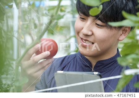 男性聰明的農業房子耕種 男性聰明的農業房子耕種 47167451
