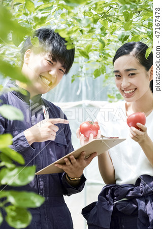 男人和女人耕種房子耕種 男人和女人耕種房子耕種 47167478