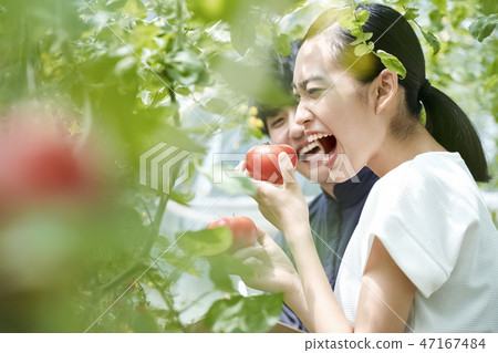 Man and woman farming house cultivation 47167484