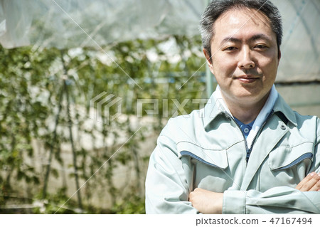 Male Agriculture House Cultivation Male Agriculture House Cultivation 47167494