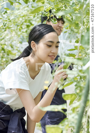 Man and woman farming house cultivation Man and woman farming house cultivation 47167510
