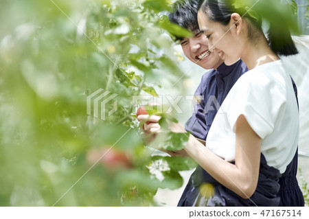 Man and woman farming house cultivation 47167514
