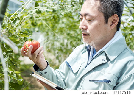 男性聰明的農業房子耕種 男性聰明的農業房子耕種 47167516