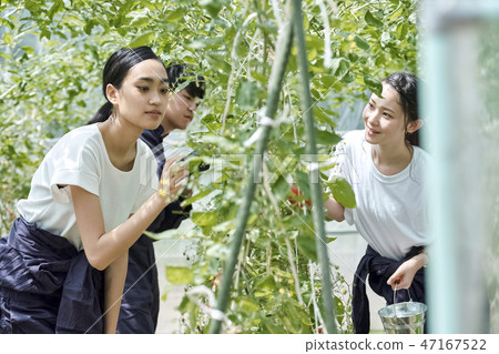 Man and woman farming house cultivation 47167522