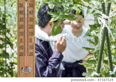 男人和女人耕種房子耕種 男人和女人耕種房子耕種 47167524