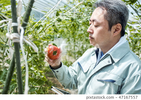 男性聰明的農業房子耕種 47167557