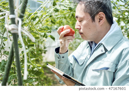 Male smart farming house cultivation 47167601