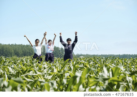 Man and woman agriculture 47167635