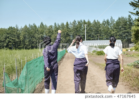 男人和女人農業 男人和女人農業 47167645